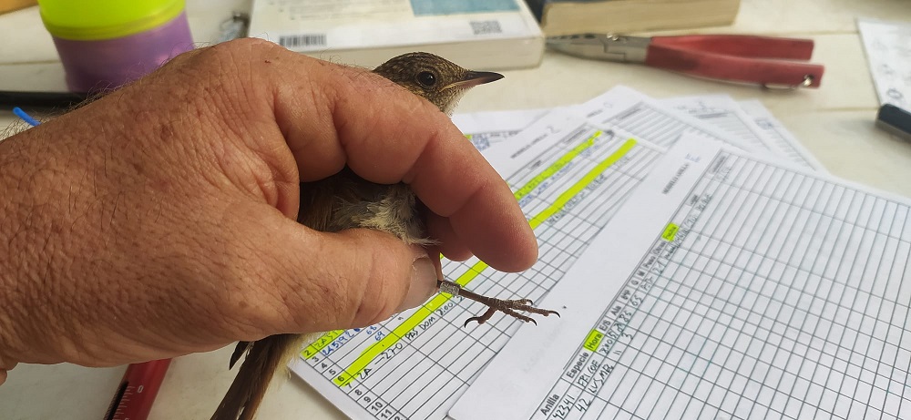 WhatsApp Image 2022-06-21 at 11.50.02 AM (1).jpeg