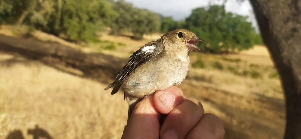 WhatsApp Image 2022-06-21 at 11.50.04 AM (1).jpeg