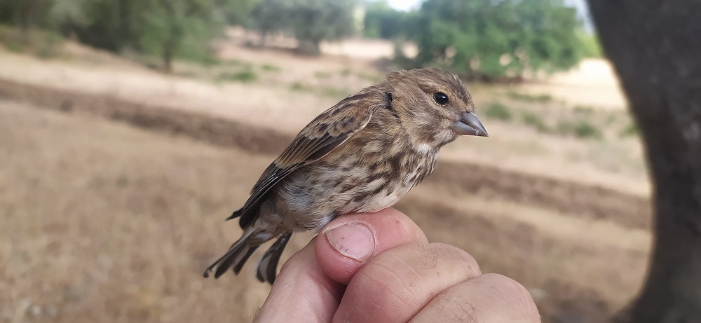 WhatsApp Image 2022-06-21 at 11.50.06 AM.jpeg