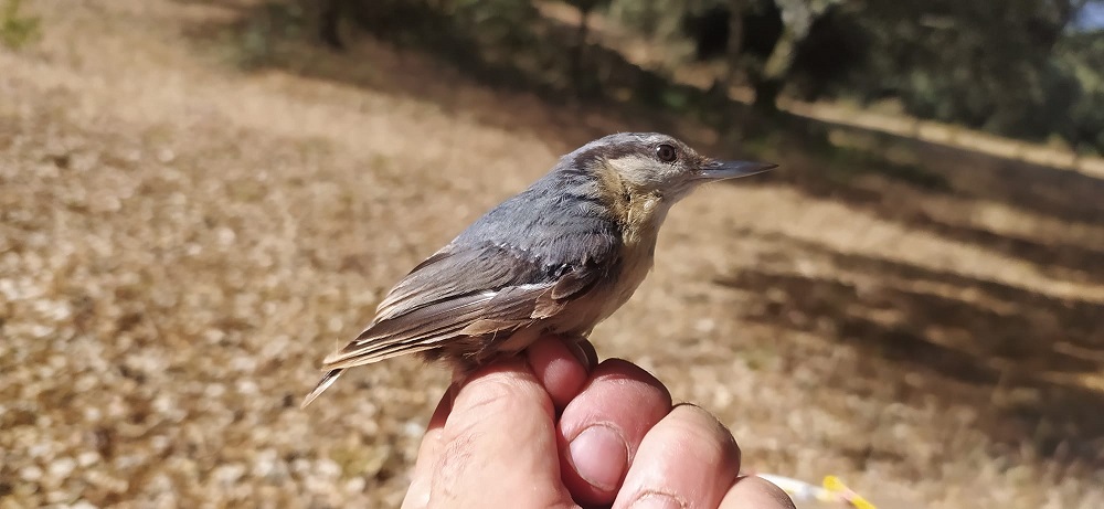 WhatsApp Image 2022-06-21 at 11.50.58 AM (1).jpeg