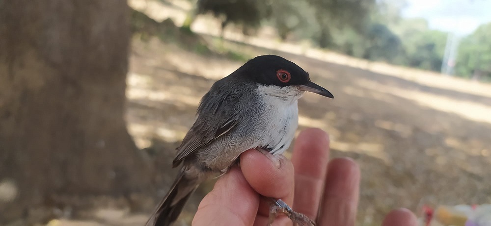 WhatsApp Image 2022-06-21 at 11.50.59 AM.jpeg