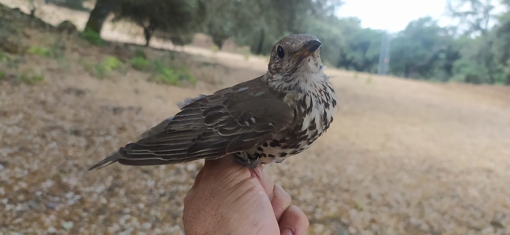 WhatsApp Image 2022-06-21 at 11.51.02 AM.jpeg