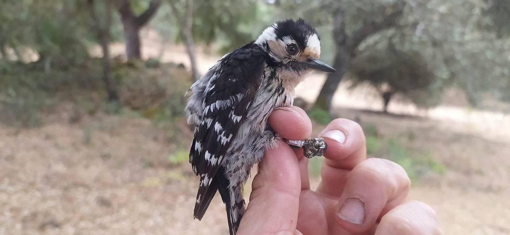 WhatsApp Image 2022-06-21 at 11.51.04 AM.jpeg