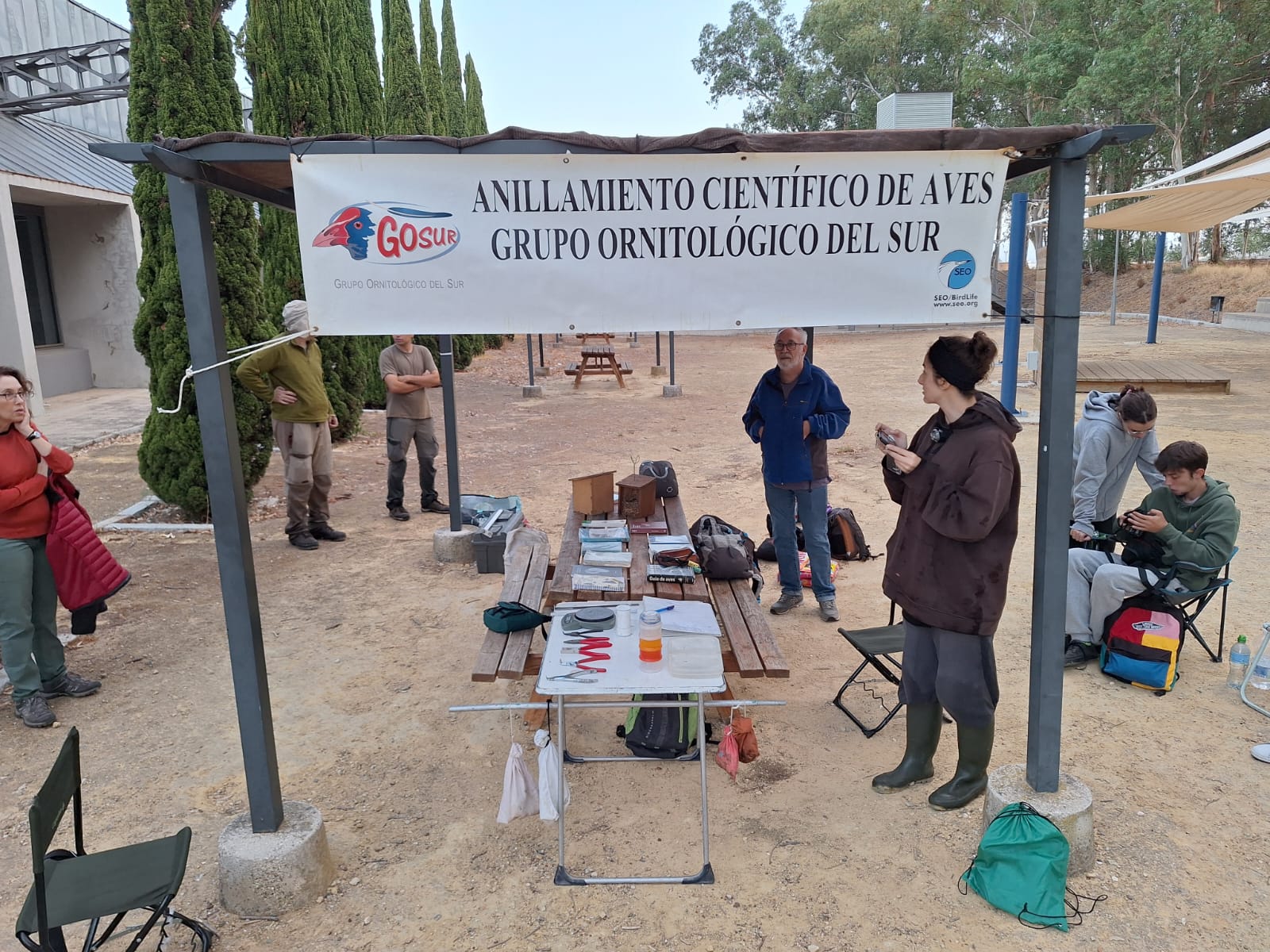 Imagen de WhatsApp 2024-10-06 a las 08.32.35_d33b61d9.jpg