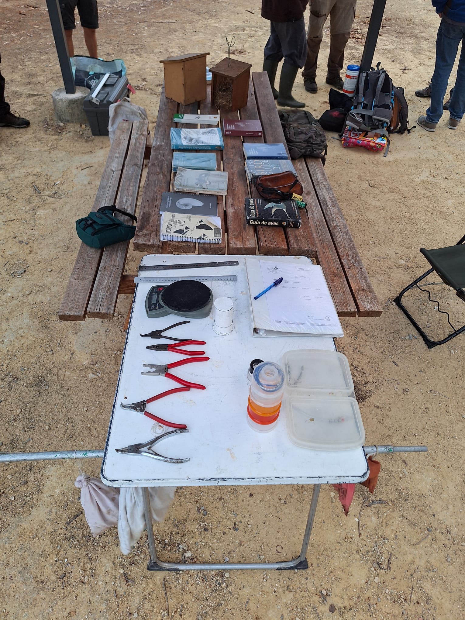 Imagen de WhatsApp 2024-10-06 a las 08.34.06_c52c8363.jpg