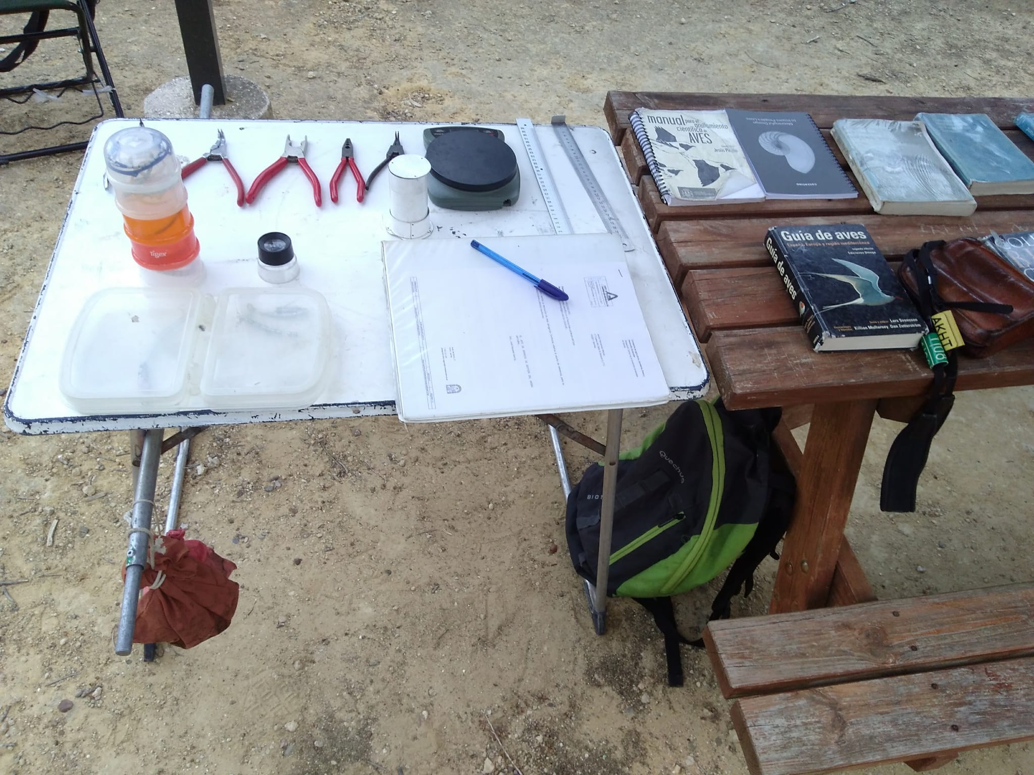 Imagen de WhatsApp 2024-10-06 a las 19.18.16_70014b51.jpg