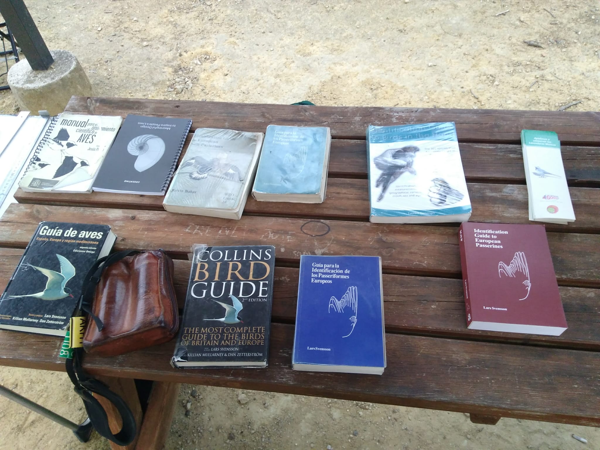 Imagen de WhatsApp 2024-10-06 a las 19.18.17_ccce91b0.jpg